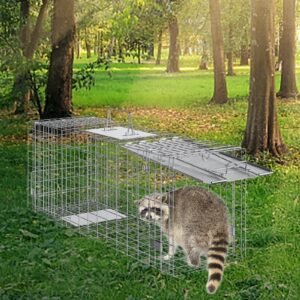 Live Animal Cage Trap, 31" X 10" X 12" Humane Cat Trap Galvanized Iron, Folding Animal Trap With Handle For Rabbits, Stray Cats, Squirrels, Raccoons, Groundhogs And Opossums - Image 6