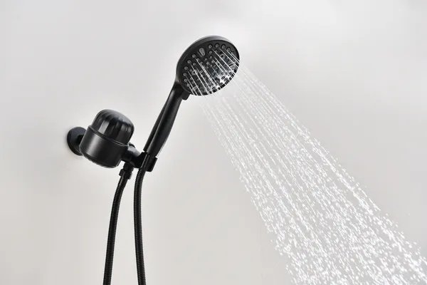 2.0 GPM Handheld Shower Head
