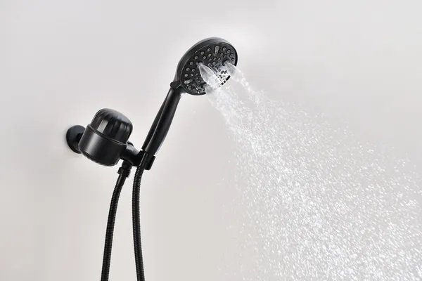2.0 GPM Handheld Shower Head