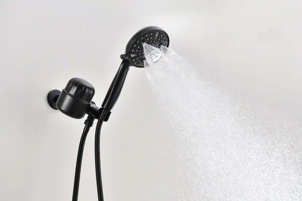 2.0 GPM Handheld Shower Head