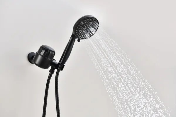 2.0 GPM Handheld Shower Head